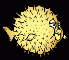 admin's Avatar